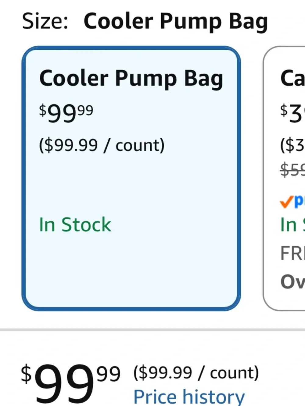 Willow Pump Anywhere Bag